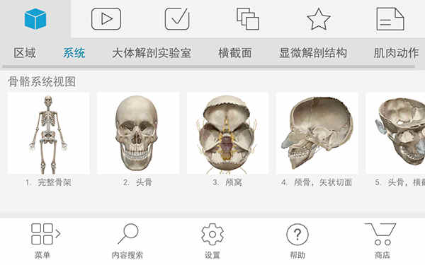 人体解剖学图谱app